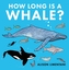 How Long is a Whale?