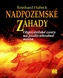 Nadpozemské záhady - Objevitelské cesty na podivuhodná místa
