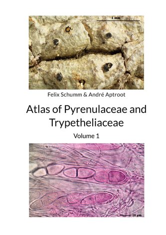 Atlas of Pyrenulaceae and Trypetheliaceae