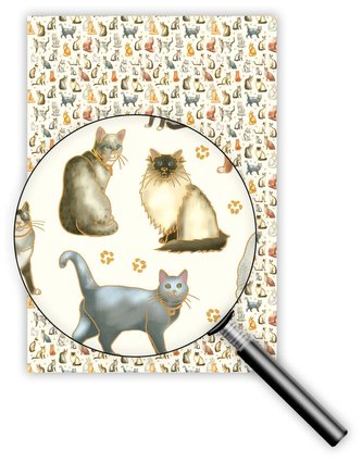 QUIRE PUBLISHING Balicí papír 50x70 cm Z8645 QP