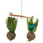 Hračka závěsná houpačka s kokosovými ořechy 30 x 50 cm