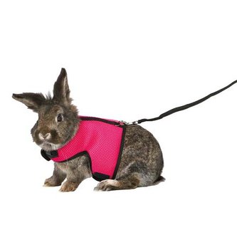 Postroj VESTA s vodítkem pro velkého králíka 25-40cm/1,20m