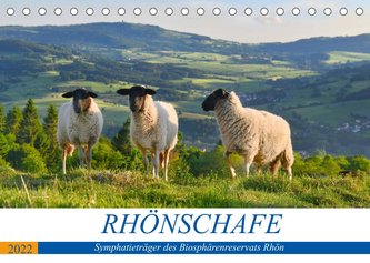 Rhönschafe - Symphatieträger des Biosphärenreservats Rhön (Tischkalender 2022 DIN A5 quer)