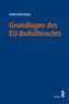 Grundlagen des EU-Beihilferechts