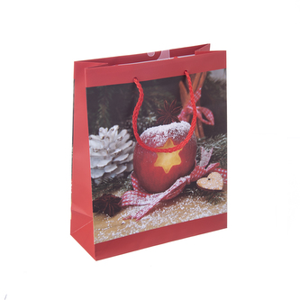 Taška dárková jablko/badyán 18x10x23 cm