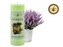 Svíčka herbal venkovská levandule 360g/52h 16x5 cm