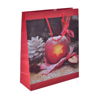 Taška dárková jablko/badyán 26x10x32 cm