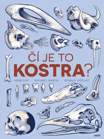 Čí je to kostra? Čí je to kostra?