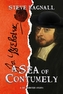 A Sea of Contumely