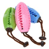 Reedog dental ball-modrá