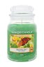 YANKEE CANDLE Beautiful Day sviečka 623g