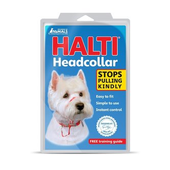 Halti Originál výcviková ohlávka 1 pro psa