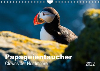 PAPAGEIENTAUCHER - Clowns der Nordmeere (Wandkalender 2022 DIN A4 quer)