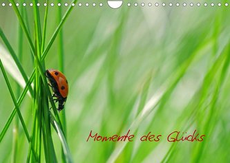 Momente des Glücks (Wandkalender 2022 DIN A4 quer)