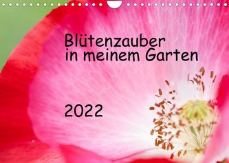Blütenzauber in meinem Garten (Wandkalender 2022 DIN A4 quer)