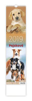 Kalendář nástěnný 2019 - Pejskové