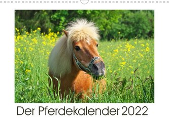 Der Pferdekalender (Wandkalender 2022 DIN A3 quer)
