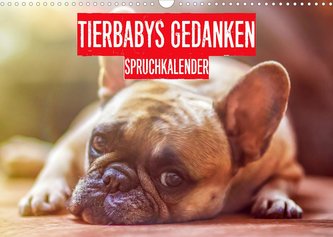 Tierbabies Gedanken Spruchkalender (Wandkalender 2022 DIN A3 quer)