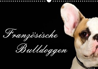 Französische Bulldoggen (Wandkalender 2022 DIN A3 quer)