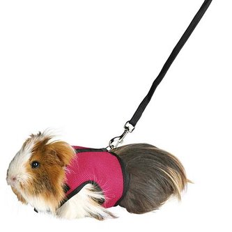 Postroj VESTA s vodítkom pre morča 18-25cm/1,2m