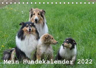 Mein Hundekalender 2022 (Tischkalender 2022 DIN A5 quer)