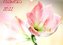 Flowers / 2022 (Wandkalender 2022 DIN A3 quer)