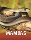 Mambas