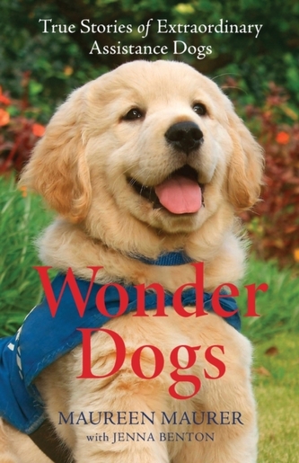 Wonder Dogs