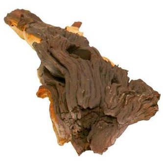 Mopani, africký kořen M - DOPRODEJ