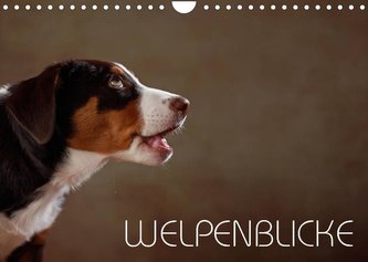 Welpenblicke (Wandkalender 2022 DIN A4 quer)
