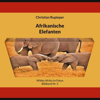Afrikanische Elefanten