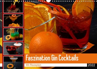 Faszination Gin Cocktails (Wandkalender 2022 DIN A3 quer)