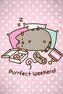 Fleece deka Pusheen: Purrfect Weekend (130 x 170 cm)