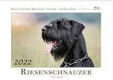 Riesenschnauzer... Treue Seelen (Premium, hochwertiger DIN A2 Wandkalender 2022, Kunstdruck in Hochglanz)