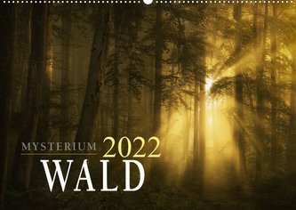 Mysterium Wald (Wandkalender 2022 DIN A2 quer)