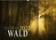 Mysterium Wald (Wandkalender 2022 DIN A2 quer)