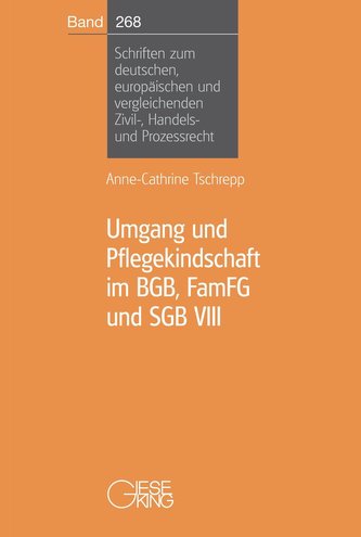 Umgang und Pflegekindschaft im BGB, FamFG und SGB VIII