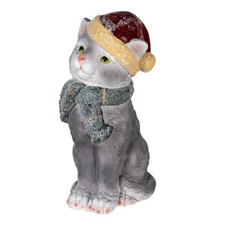 Kočička se santovskou čepicí