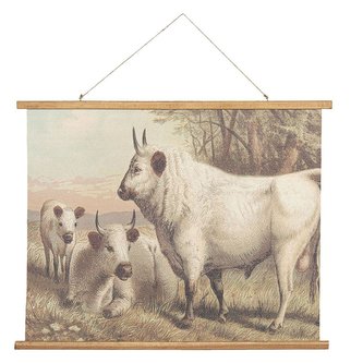 Nástěnná mapa COW