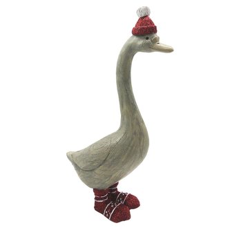 Kachna ve vánoční čepici