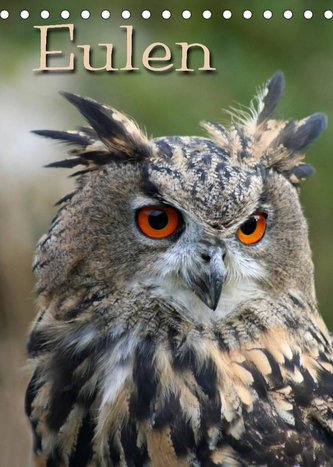 Eulen / CH-Version (Tischkalender 2022 DIN A5 hoch)