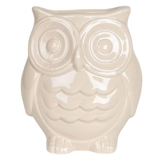 Odpařovač na radiátor OWL