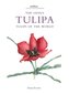 Genus Tulipa, The