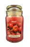 Airpure vonná svíčka 510g Apple Cinnamon