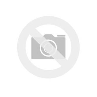 Xiaomi Mi Wireless Outdoor Secur. Camera 1080P Set
