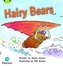 Bug Club Phonics Fiction Year 1 Phase 5 Unit 22 Hairy Bears
