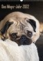 Das Mops-Jahr 2022 (Wandkalender 2022 DIN A3 hoch)