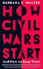 How Civil Wars Start
