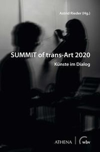 SUMMIT of trans-Art 2020