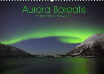 Aurora Borealis: Polarlichter in Norwegen (Wandkalender 2022 DIN A2 quer)